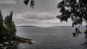 ./images/koeye/fitz-hugh/20250620/fitz-hugh20250620_070511M.jpg