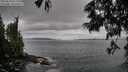 ./images/koeye/fitz-hugh/20250620/fitz-hugh20250620_071011M.jpg