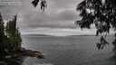 ./images/koeye/fitz-hugh/20250620/fitz-hugh20250620_071510M.jpg