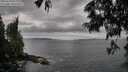 ./images/koeye/fitz-hugh/20250620/fitz-hugh20250620_072010M.jpg