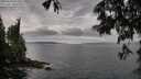 ./images/koeye/fitz-hugh/20250620/fitz-hugh20250620_072509M.jpg