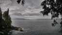 ./images/koeye/fitz-hugh/20250620/fitz-hugh20250620_073010M.jpg