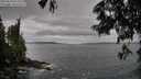 ./images/koeye/fitz-hugh/20250620/fitz-hugh20250620_073510M.jpg