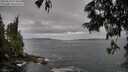 ./images/koeye/fitz-hugh/20250620/fitz-hugh20250620_074011M.jpg