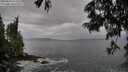 ./images/koeye/fitz-hugh/20250620/fitz-hugh20250620_075007M.jpg