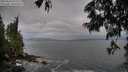 ./images/koeye/fitz-hugh/20250620/fitz-hugh20250620_075508M.jpg