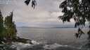 ./images/koeye/fitz-hugh/20250620/fitz-hugh20250620_080012M.jpg