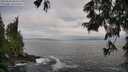 ./images/koeye/fitz-hugh/20250620/fitz-hugh20250620_080510M.jpg