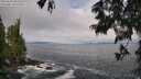 ./images/koeye/fitz-hugh/20250620/fitz-hugh20250620_082509M.jpg