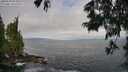 ./images/koeye/fitz-hugh/20250620/fitz-hugh20250620_083011M.jpg