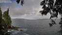 ./images/koeye/fitz-hugh/20250620/fitz-hugh20250620_084511M.jpg