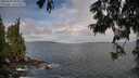 ./images/koeye/fitz-hugh/20250620/fitz-hugh20250620_085010M.jpg