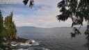 ./images/koeye/fitz-hugh/20250620/fitz-hugh20250620_085512M.jpg