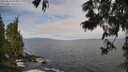 ./images/koeye/fitz-hugh/20250620/fitz-hugh20250620_090013M.jpg