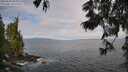 ./images/koeye/fitz-hugh/20250620/fitz-hugh20250620_091009M.jpg