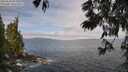 ./images/koeye/fitz-hugh/20250620/fitz-hugh20250620_092010M.jpg