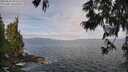 ./images/koeye/fitz-hugh/20250620/fitz-hugh20250620_092510M.jpg
