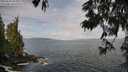 ./images/koeye/fitz-hugh/20250620/fitz-hugh20250620_093012M.jpg