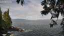 ./images/koeye/fitz-hugh/20250620/fitz-hugh20250620_093510M.jpg