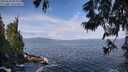 ./images/koeye/fitz-hugh/20250620/fitz-hugh20250620_095510M.jpg