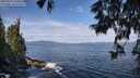 ./images/koeye/fitz-hugh/20250620/fitz-hugh20250620_100014M.jpg