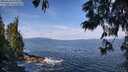 ./images/koeye/fitz-hugh/20250620/fitz-hugh20250620_101010M.jpg