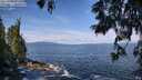 ./images/koeye/fitz-hugh/20250620/fitz-hugh20250620_101511M.jpg