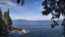 ./images/koeye/fitz-hugh/20250620/fitz-hugh20250620_102510M.jpg
