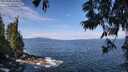 ./images/koeye/fitz-hugh/20250620/fitz-hugh20250620_103011M.jpg