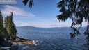 ./images/koeye/fitz-hugh/20250620/fitz-hugh20250620_104009M.jpg