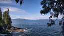 ./images/koeye/fitz-hugh/20250620/fitz-hugh20250620_104508M.jpg