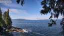 ./images/koeye/fitz-hugh/20250620/fitz-hugh20250620_105010M.jpg