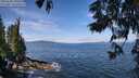 ./images/koeye/fitz-hugh/20250620/fitz-hugh20250620_105510M.jpg