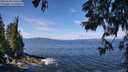 ./images/koeye/fitz-hugh/20250620/fitz-hugh20250620_110509M.jpg