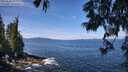 ./images/koeye/fitz-hugh/20250620/fitz-hugh20250620_112011M.jpg
