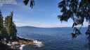 ./images/koeye/fitz-hugh/20250620/fitz-hugh20250620_112510M.jpg