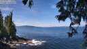 ./images/koeye/fitz-hugh/20250620/fitz-hugh20250620_113012M.jpg