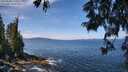 ./images/koeye/fitz-hugh/20250620/fitz-hugh20250620_113508M.jpg