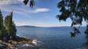 ./images/koeye/fitz-hugh/20250620/fitz-hugh20250620_114511M.jpg
