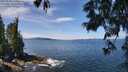 ./images/koeye/fitz-hugh/20250620/fitz-hugh20250620_115011M.jpg
