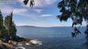 ./images/koeye/fitz-hugh/20250620/fitz-hugh20250620_115510M.jpg