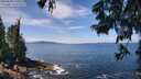 ./images/koeye/fitz-hugh/20250620/fitz-hugh20250620_120013M.jpg