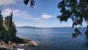 ./images/koeye/fitz-hugh/20250620/fitz-hugh20250620_121511M.jpg
