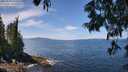 ./images/koeye/fitz-hugh/20250620/fitz-hugh20250620_122513M.jpg