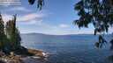./images/koeye/fitz-hugh/20250620/fitz-hugh20250620_123012M.jpg