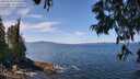 ./images/koeye/fitz-hugh/20250620/fitz-hugh20250620_123510M.jpg