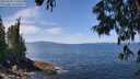 ./images/koeye/fitz-hugh/20250620/fitz-hugh20250620_124510M.jpg