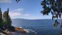 ./images/koeye/fitz-hugh/20250620/fitz-hugh20250620_125510M.jpg