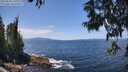 ./images/koeye/fitz-hugh/20250620/fitz-hugh20250620_131011M.jpg