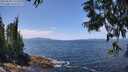 ./images/koeye/fitz-hugh/20250620/fitz-hugh20250620_131511M.jpg